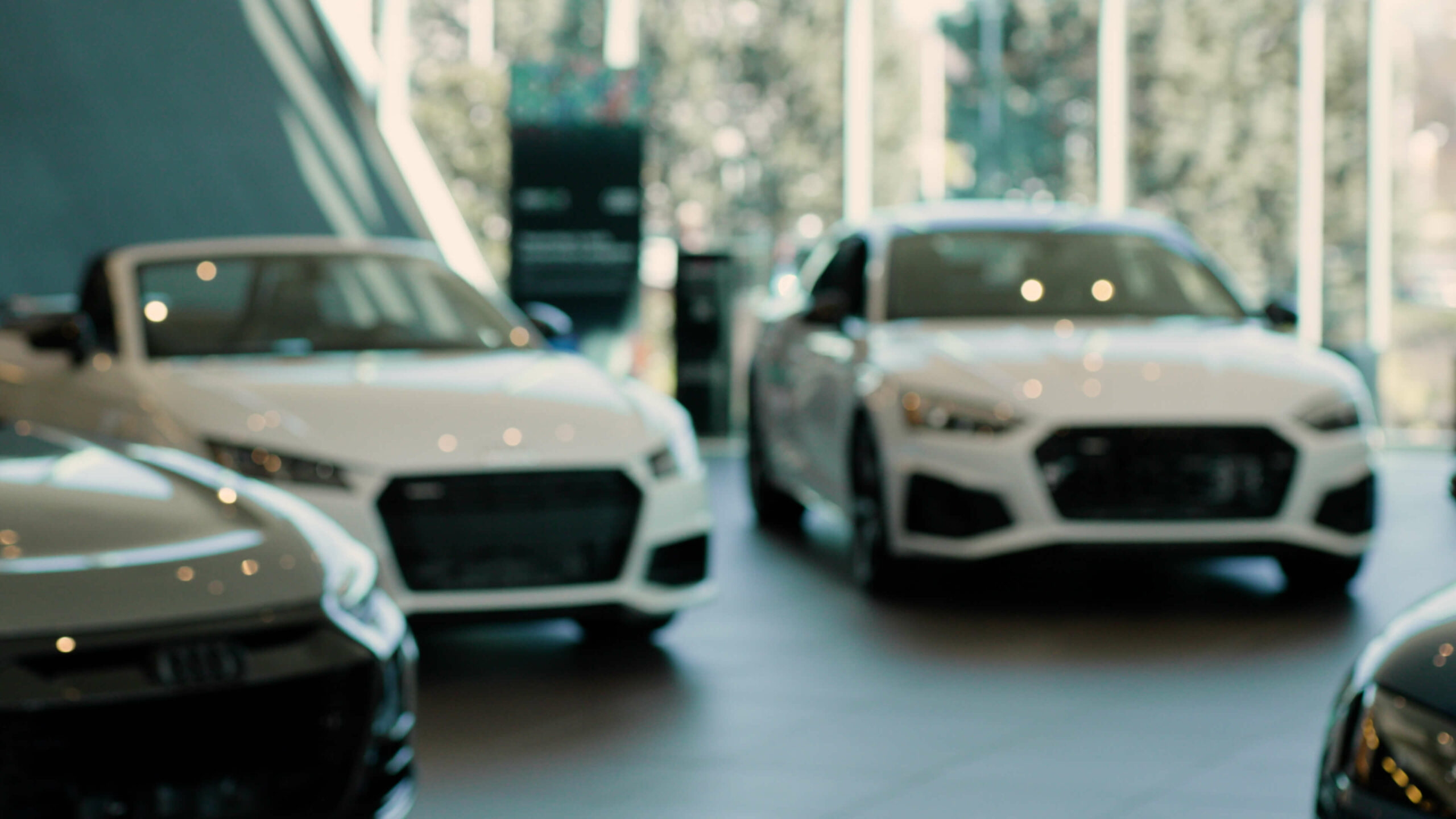 a group of audi model cars in a showroom